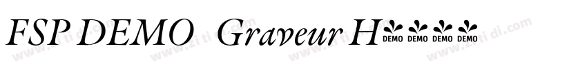 FSP DEMO   Graveur H字体转换